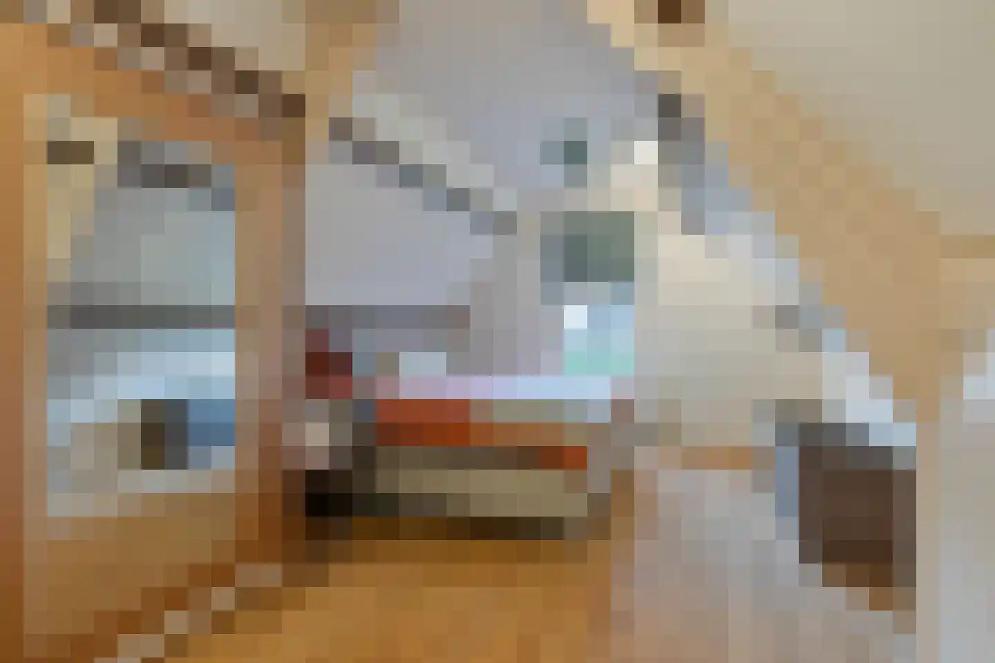 Lange Achterweg 23 's-Heer Arendskerke thumbnail 23