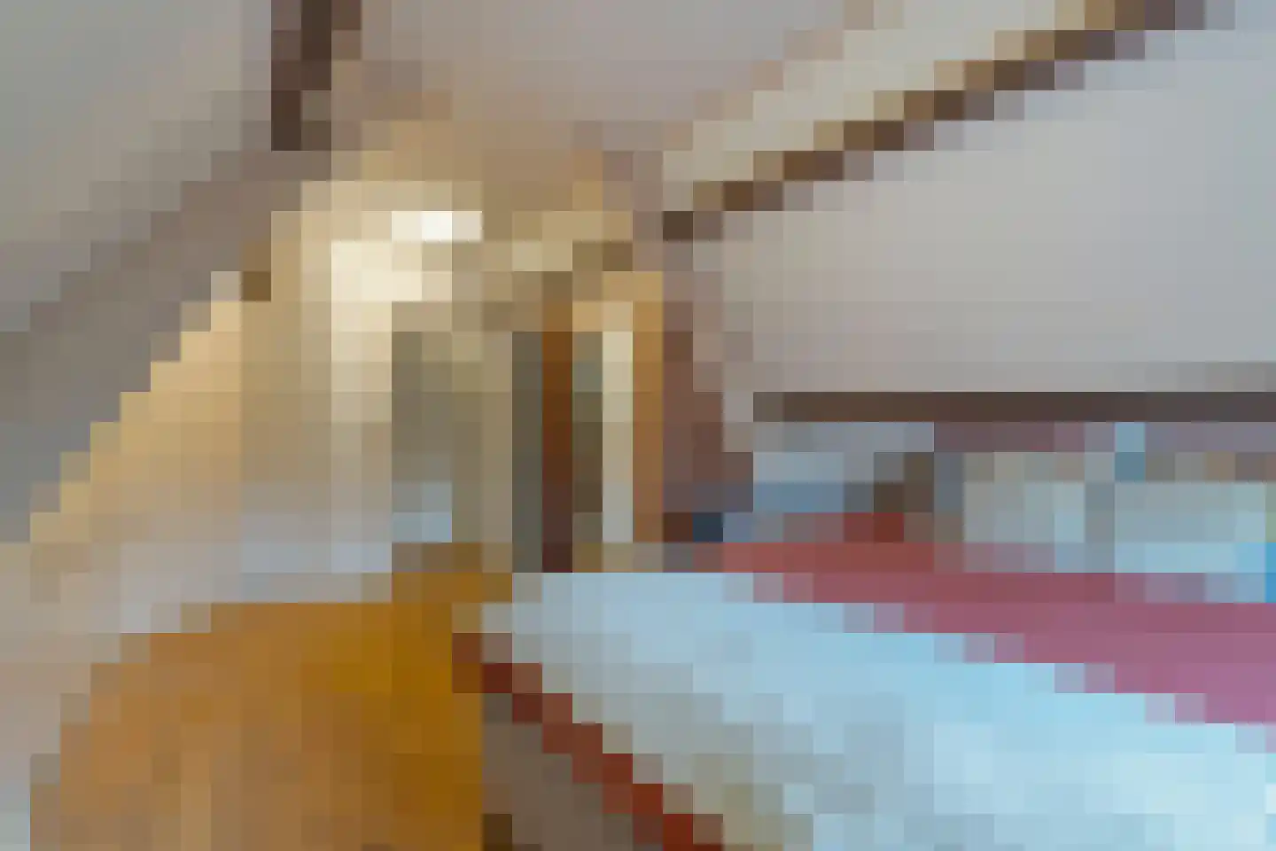Lange Achterweg 23 's-Heer Arendskerke thumbnail 24