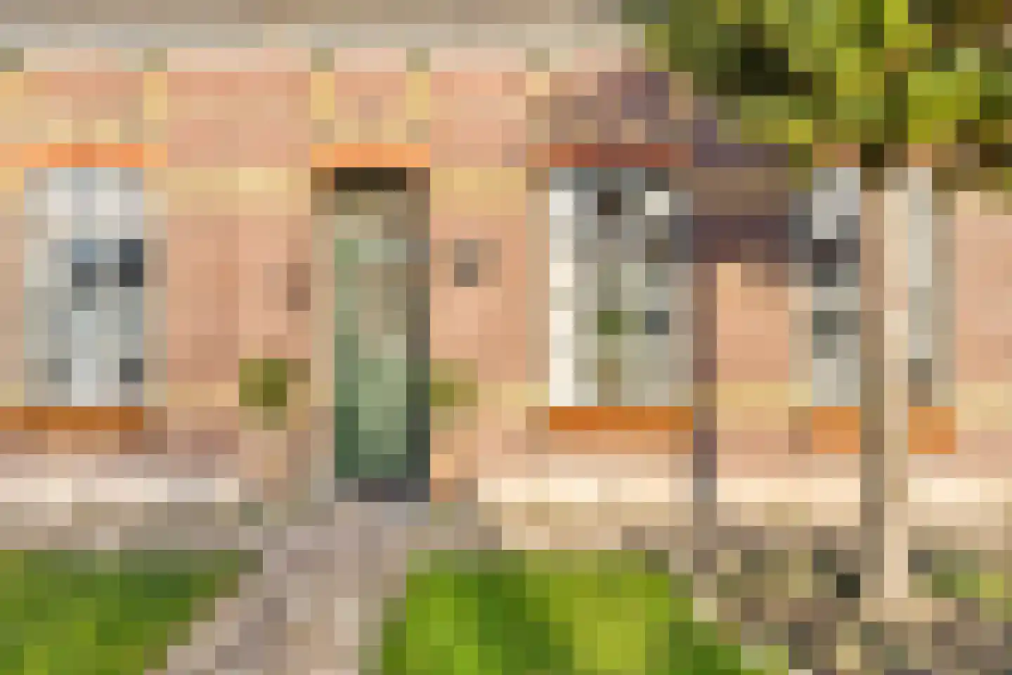 Lange Achterweg 23 's-Heer Arendskerke thumbnail 32
