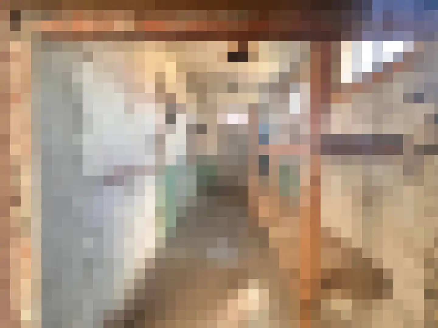 Lange Achterweg 23 's-Heer Arendskerke thumbnail 35