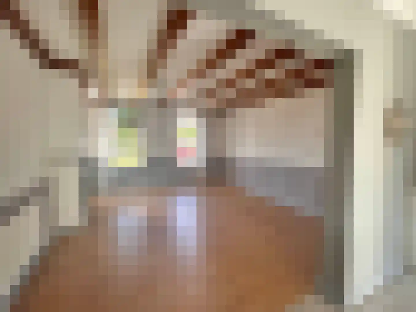 Lange Achterweg 23 's-Heer Arendskerke thumbnail 36