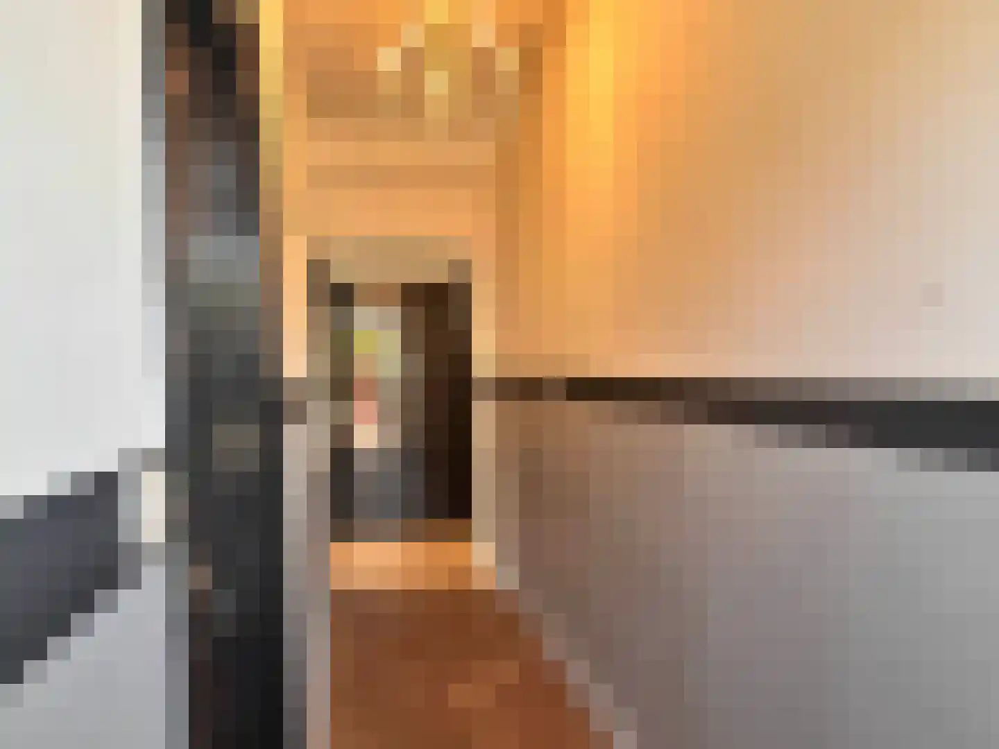 Lange Achterweg 23 's-Heer Arendskerke thumbnail 39