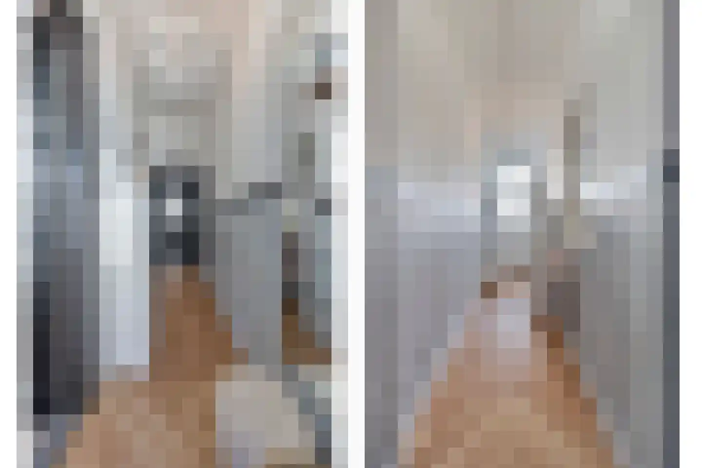Lange Achterweg 23 's-Heer Arendskerke thumbnail 5