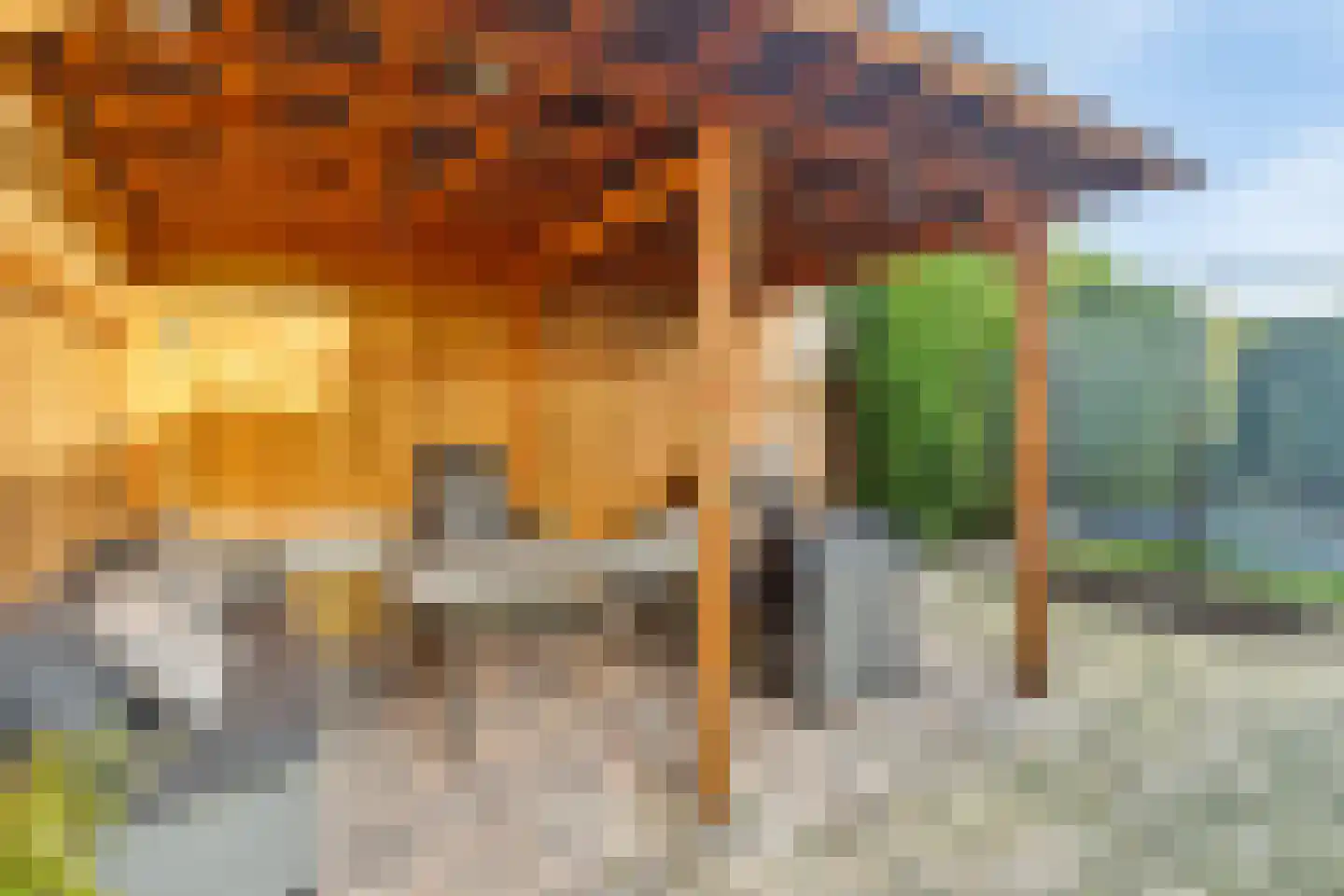 Lange Achterweg 23 's-Heer Arendskerke thumbnail 6