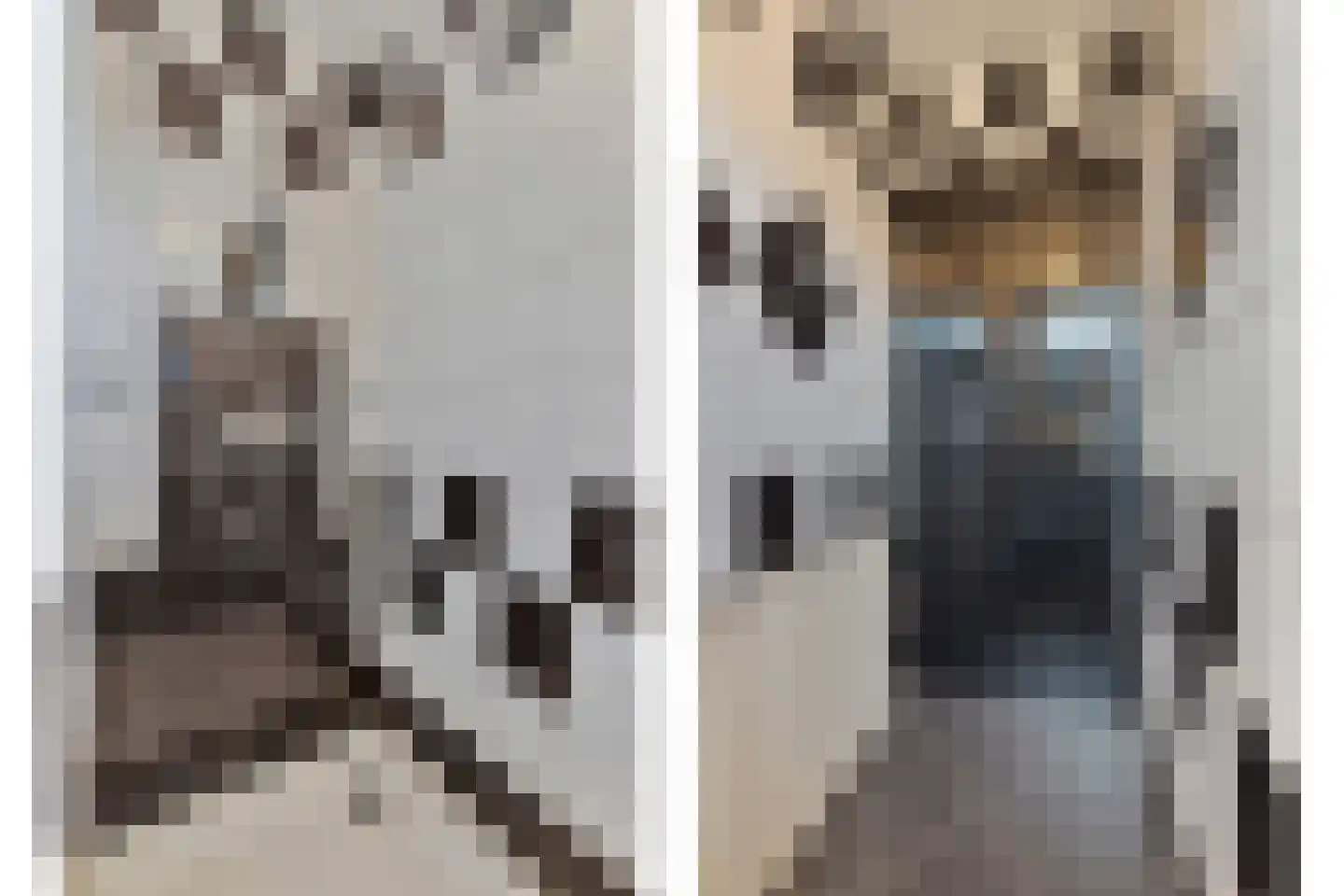 Lange Achterweg 23 's-Heer Arendskerke thumbnail 8