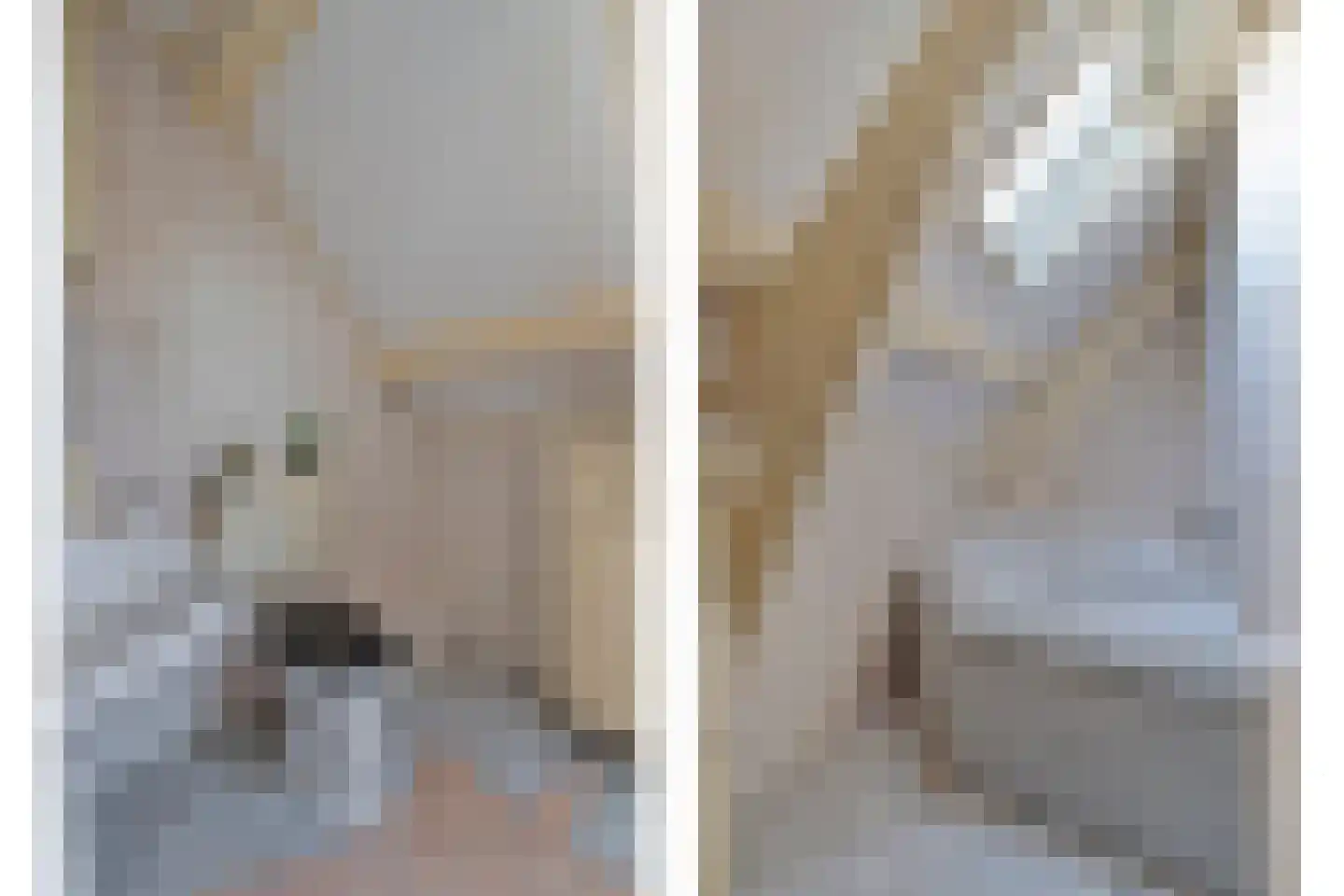Lange Achterweg 23 's-Heer Arendskerke thumbnail 9