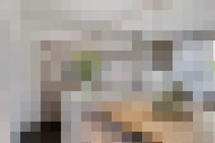 Lange Achterweg 25 's-Heer Arendskerke thumbnail 12