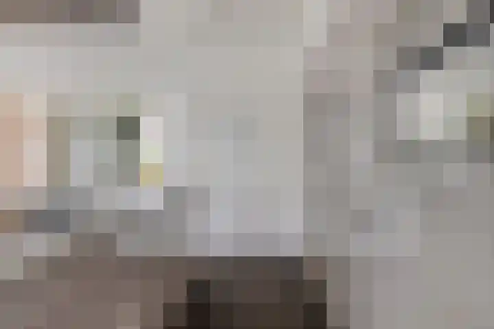 Lange Achterweg 25 's-Heer Arendskerke thumbnail 14