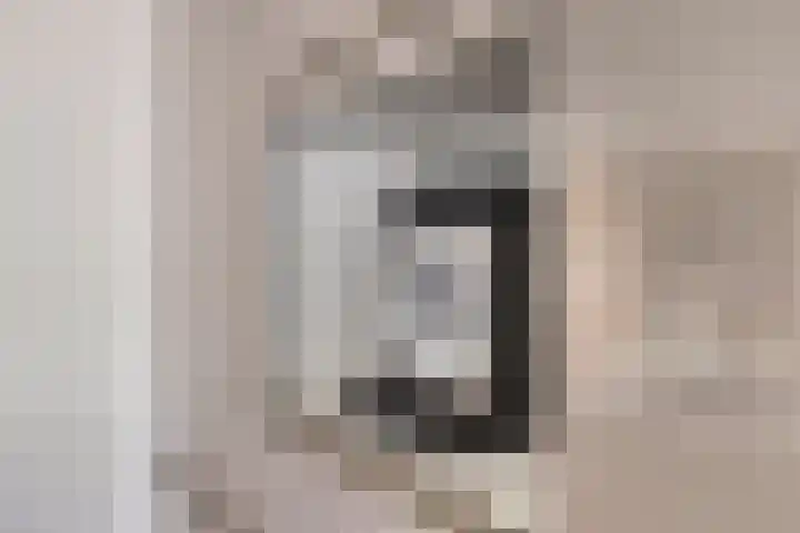 Lange Achterweg 25 's-Heer Arendskerke thumbnail 15