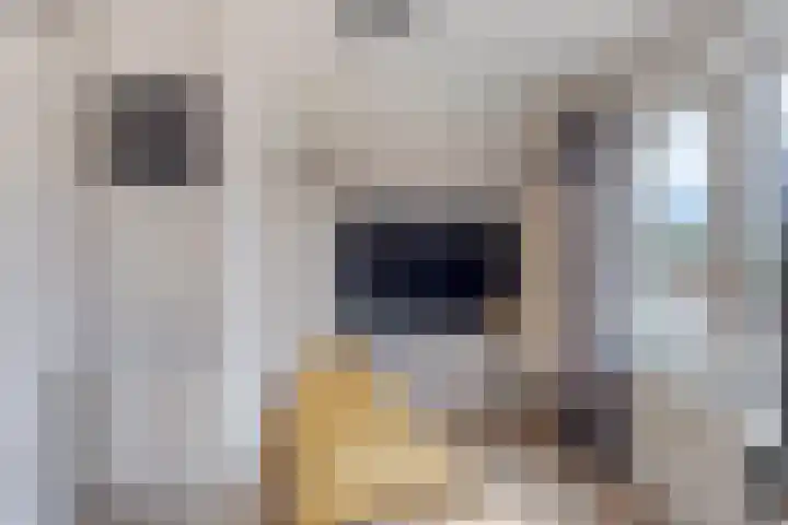 Lange Achterweg 25 's-Heer Arendskerke thumbnail 20