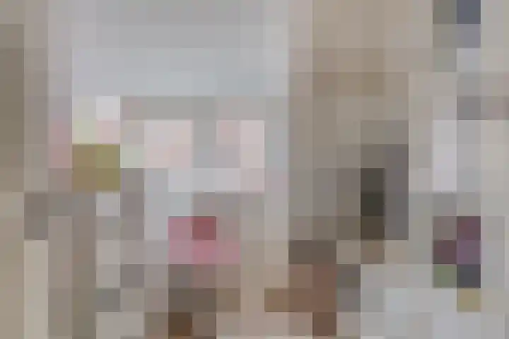 Lange Achterweg 25 's-Heer Arendskerke thumbnail 22