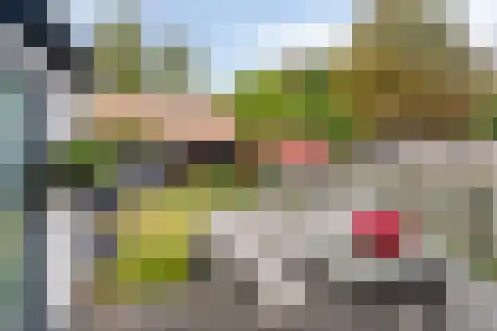 Lange Achterweg 25 's-Heer Arendskerke thumbnail 23