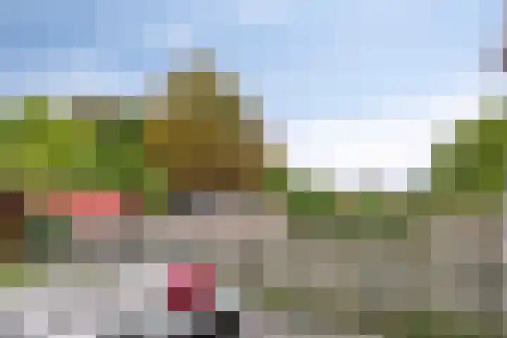 Lange Achterweg 25 's-Heer Arendskerke thumbnail 26