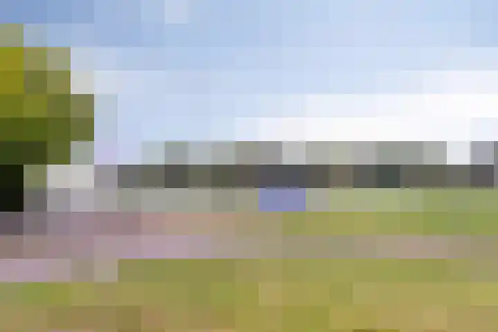 Lange Achterweg 25 's-Heer Arendskerke thumbnail 29