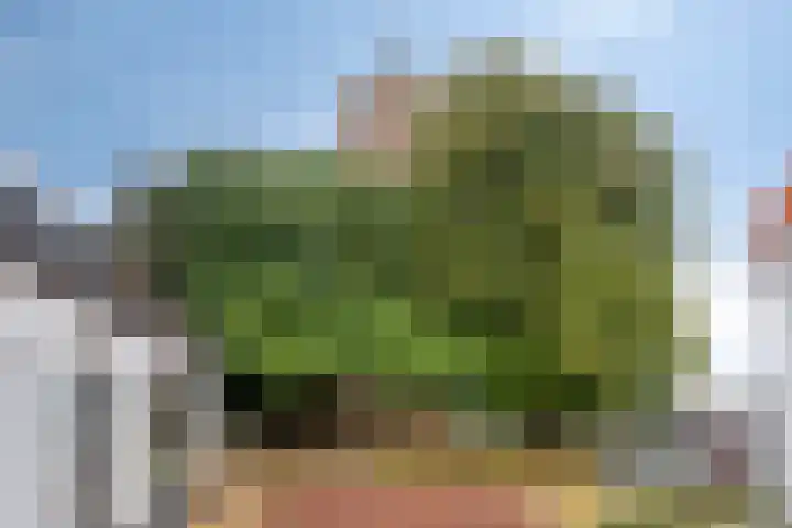 Lange Achterweg 25 's-Heer Arendskerke thumbnail 30