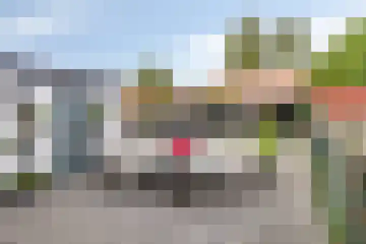 Lange Achterweg 25 's-Heer Arendskerke thumbnail 4