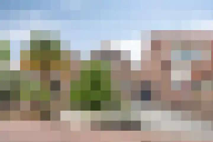 Lange Achterweg 25 's-Heer Arendskerke thumbnail 5