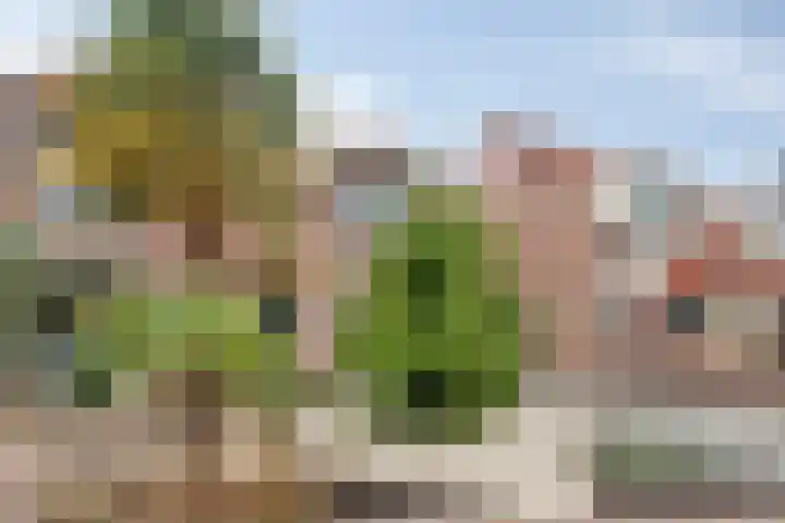 Lange Achterweg 25 's-Heer Arendskerke thumbnail 6