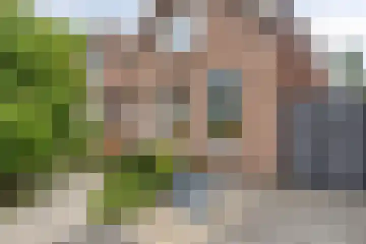Lange Achterweg 25 's-Heer Arendskerke thumbnail 7