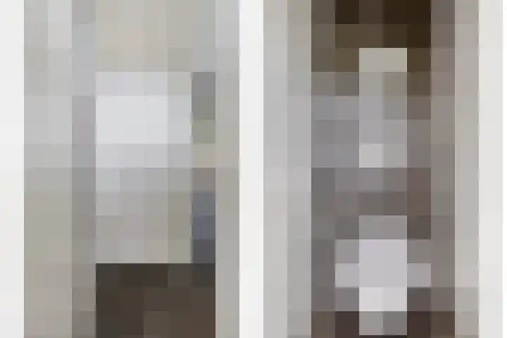 Lange Achterweg 25 's-Heer Arendskerke thumbnail 8