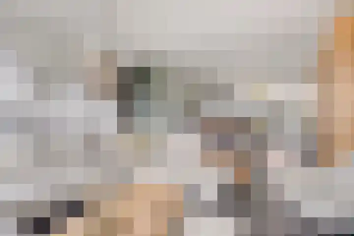 Lange Achterweg 25 's-Heer Arendskerke thumbnail 9