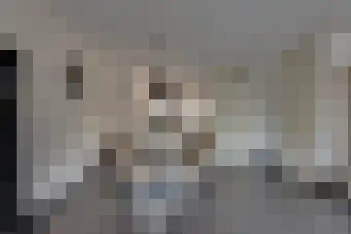 Lange Akker 10 Kampen thumbnail 14