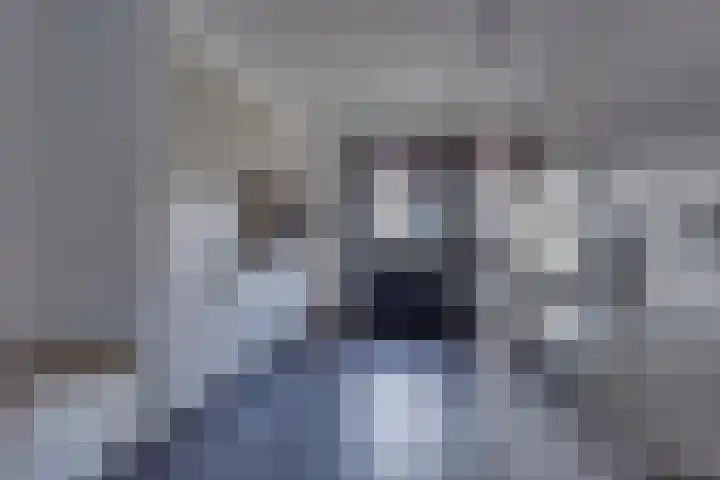Lange Akker 10 Kampen thumbnail 16