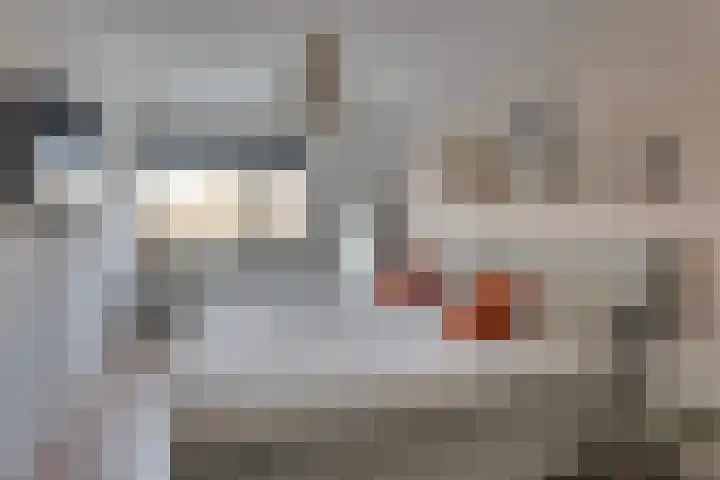 Lange Akker 10 Kampen thumbnail 26