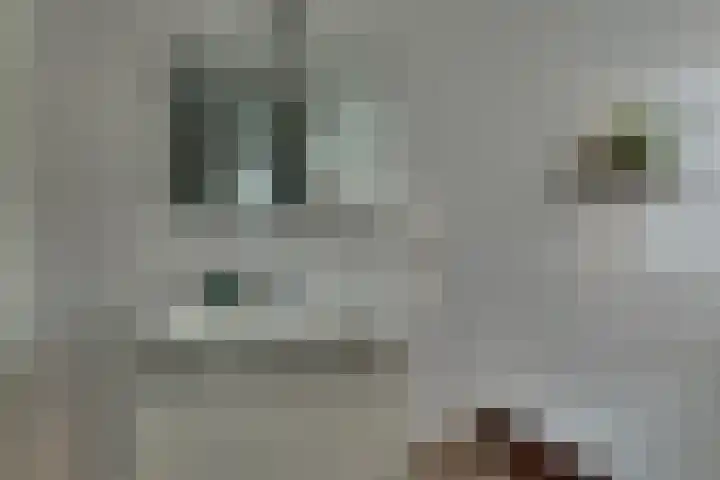 Lange Akker 10 Kampen thumbnail 33