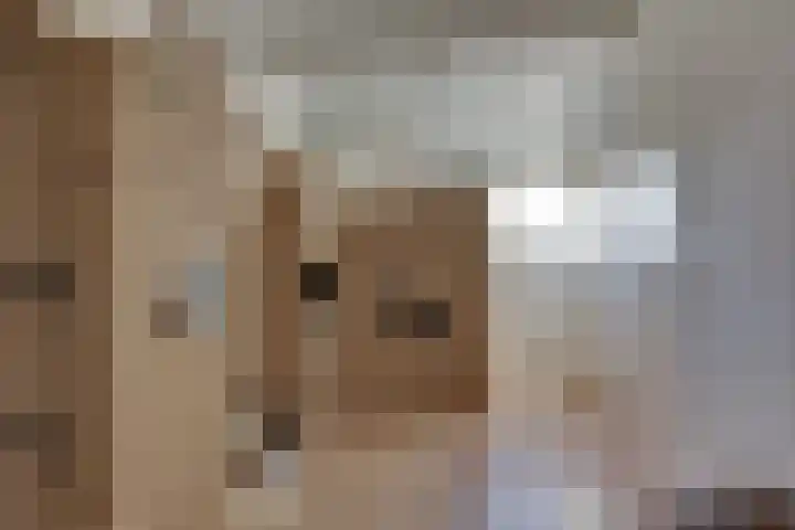 Lange Akker 10 Kampen thumbnail 41