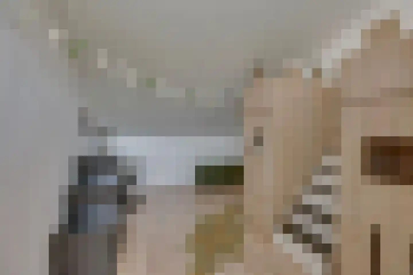Lange Akker 10 Kampen thumbnail 42