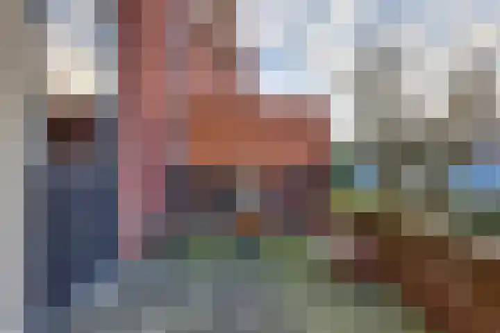 Lange Akker 10 Kampen thumbnail 9