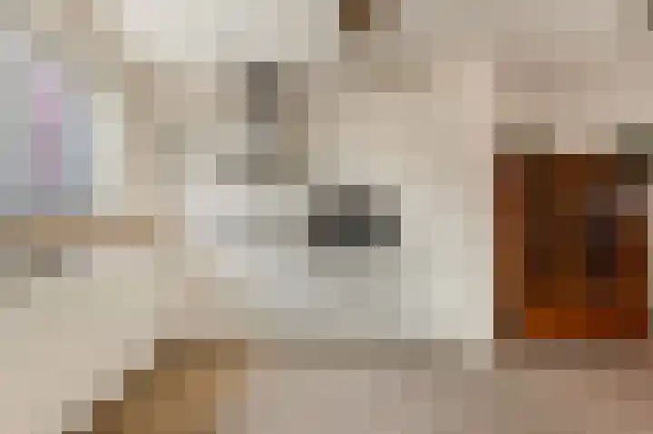 Lange Akker 10 Limmen thumbnail 12