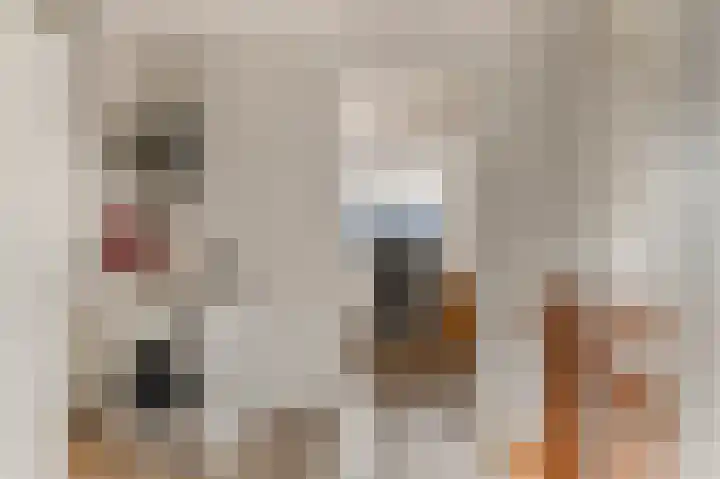 Lange Akker 10 Limmen thumbnail 35