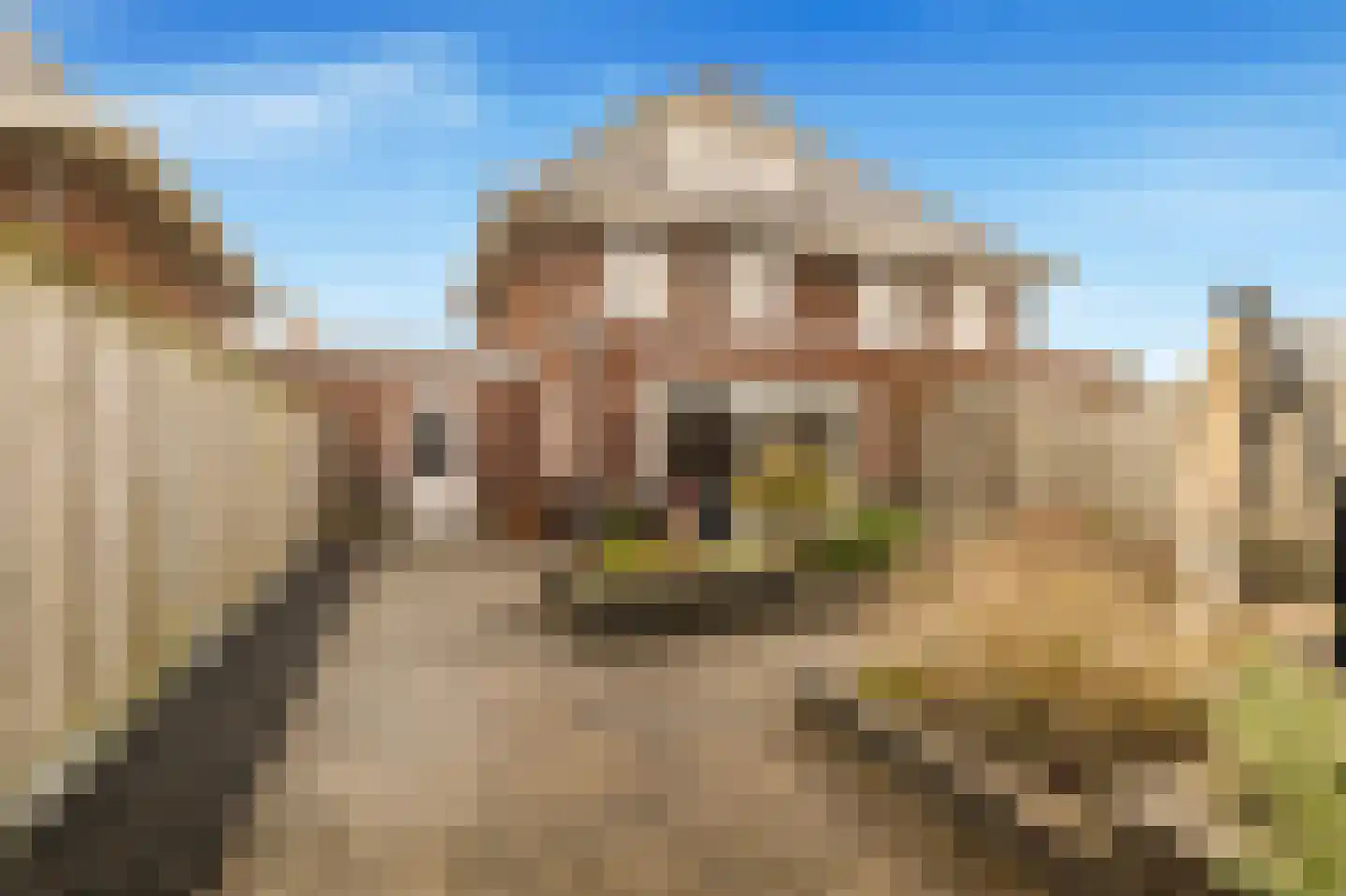 Lange Akker 10 Limmen thumbnail 4