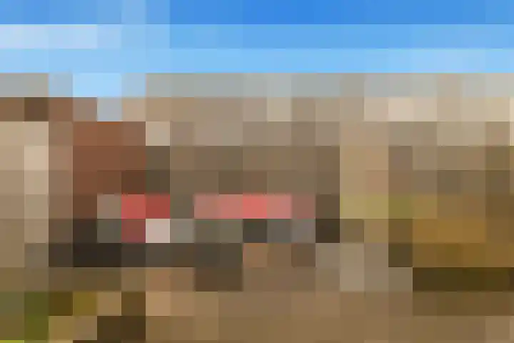 Lange Akker 10 Limmen thumbnail 44
