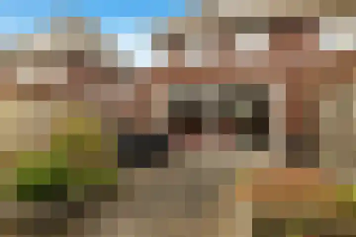 Lange Akker 10 Limmen thumbnail 48