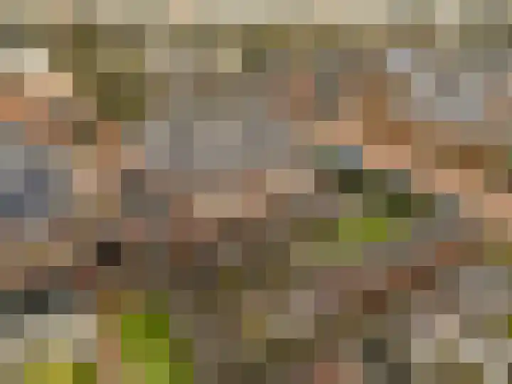 Lange Akker 10 Limmen thumbnail 57
