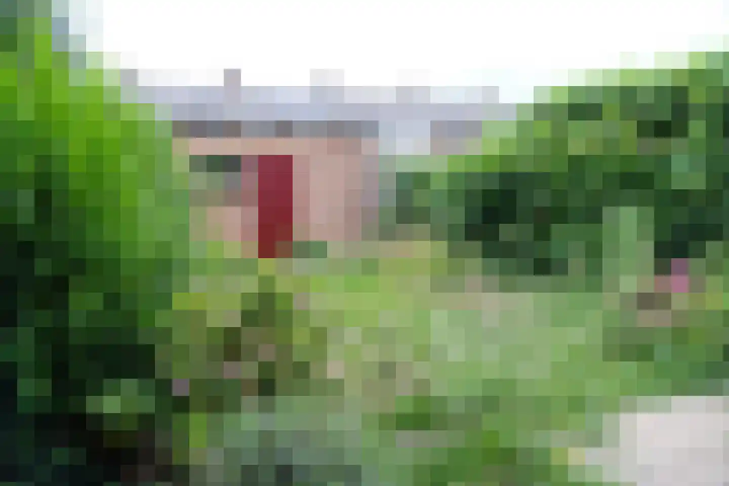 Lange Akker 12 Geldermalsen thumbnail 12