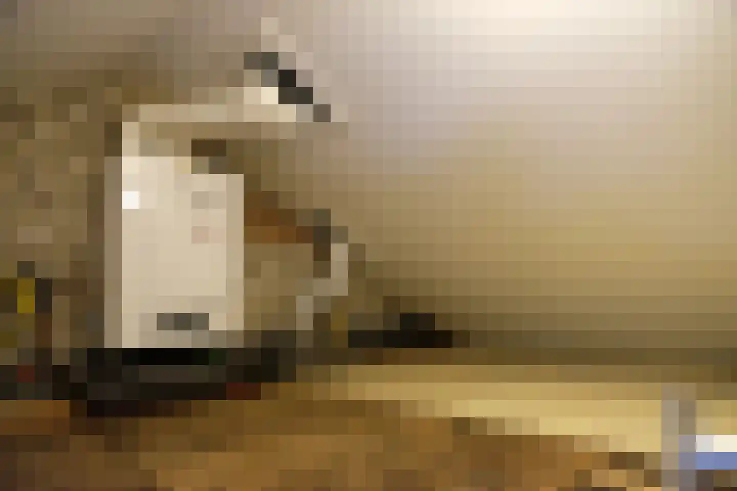 Lange Akker 12 Geldermalsen thumbnail 9