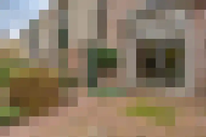 Lange Akker 121 Geldermalsen thumbnail 10