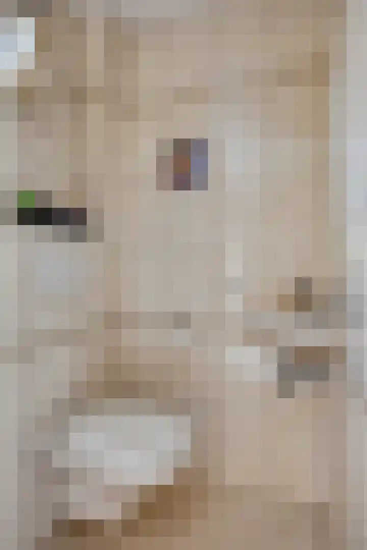 Lange Akker 121 Geldermalsen thumbnail 14