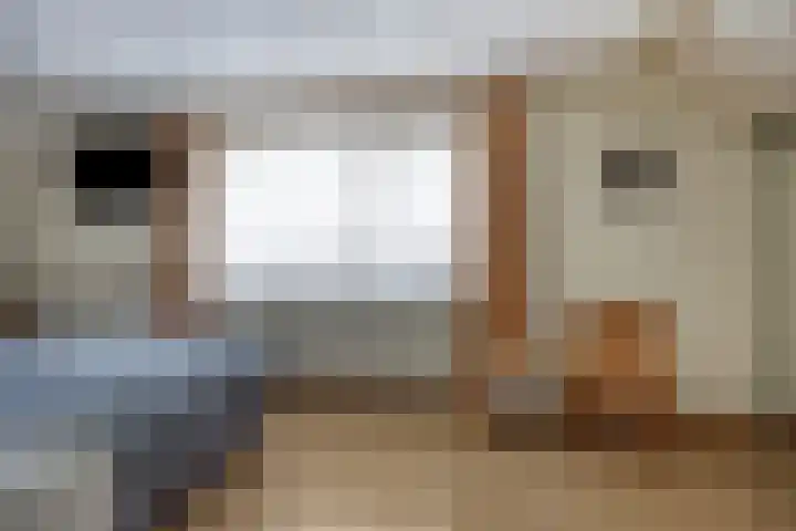 Lange Akker 121 Geldermalsen thumbnail 29