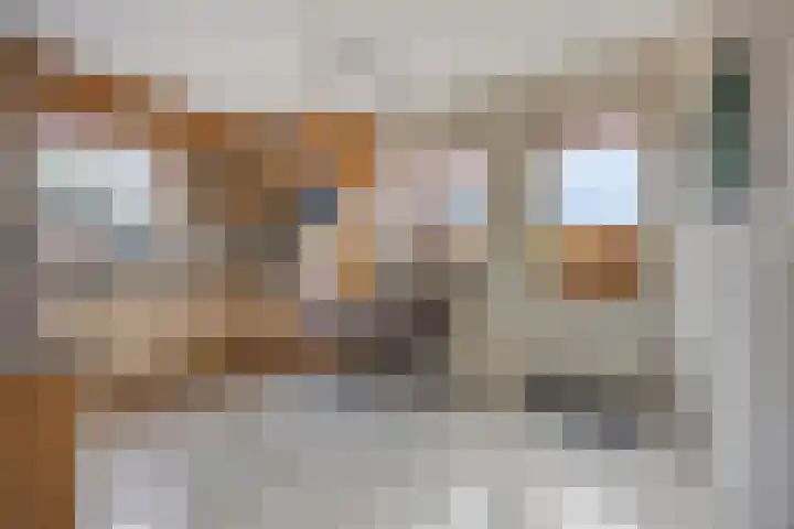 Lange Akker 121 Geldermalsen thumbnail 4