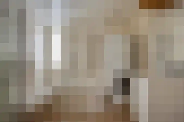Lange Akker 121 Geldermalsen thumbnail 40