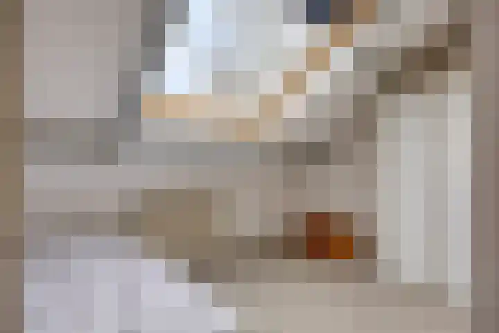 Lange Akker 121 Geldermalsen thumbnail 45