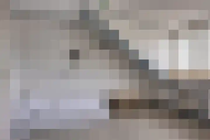 Lange Akker 121 Geldermalsen thumbnail 47