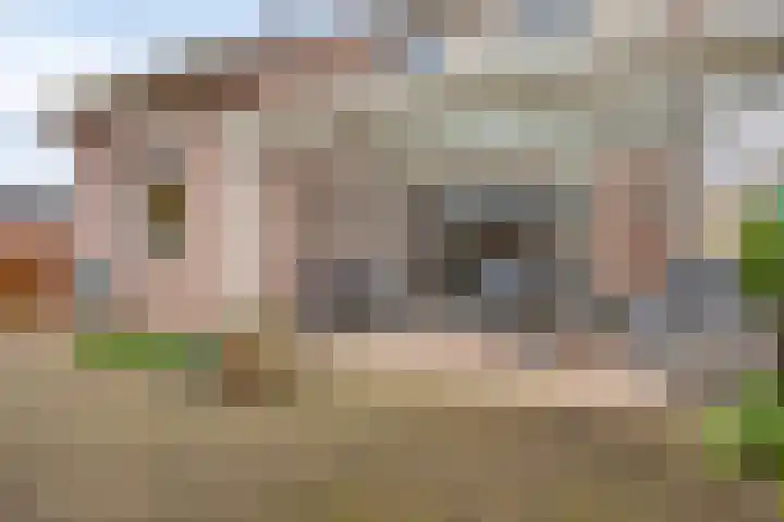 Lange Akker 121 Geldermalsen thumbnail 51