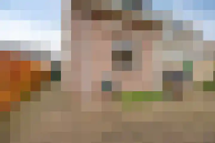 Lange Akker 121 Geldermalsen thumbnail 53