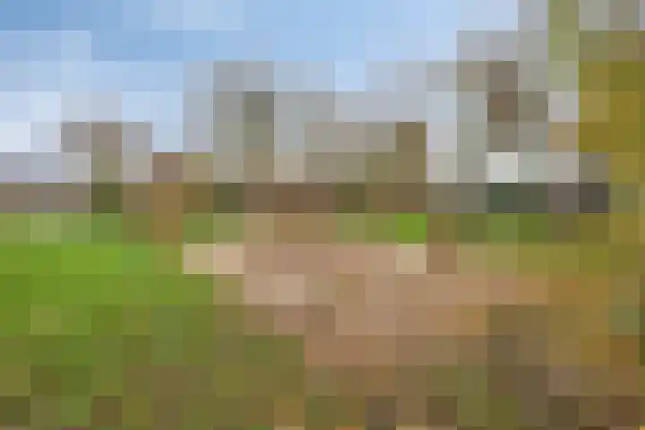 Lange Akker 121 Geldermalsen thumbnail 59